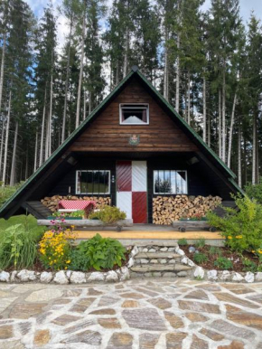 Berghütte Waldheimat